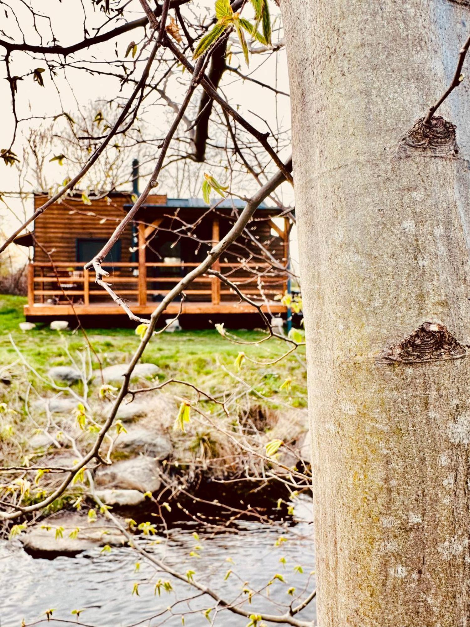Dejani Tiny Home מראה חיצוני תמונה